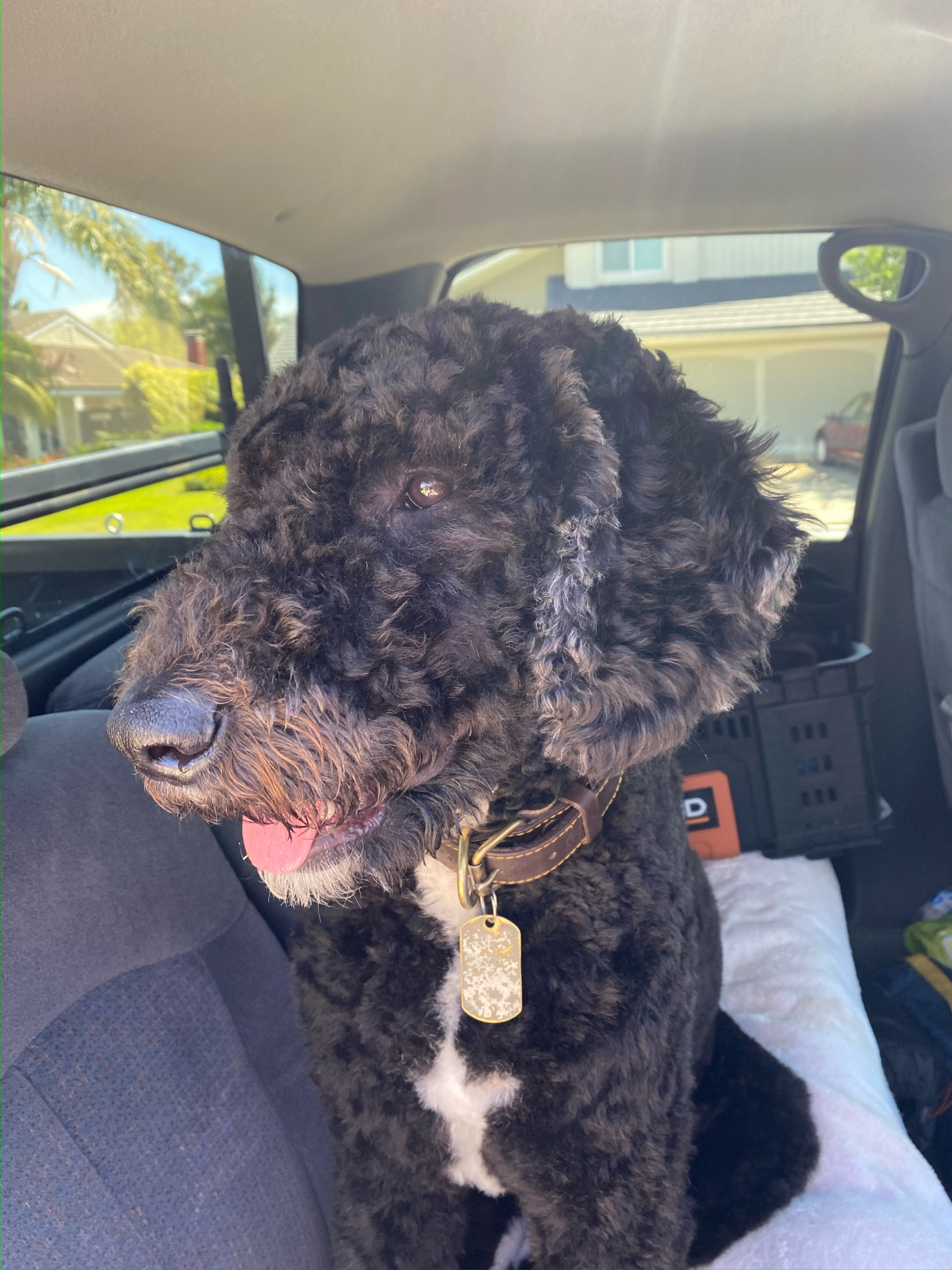 62832EEF-B8A0-4B34-A721-1F4C6E9A1F6C.HEIC Top Notch Roof estimates Huntington Beach, California